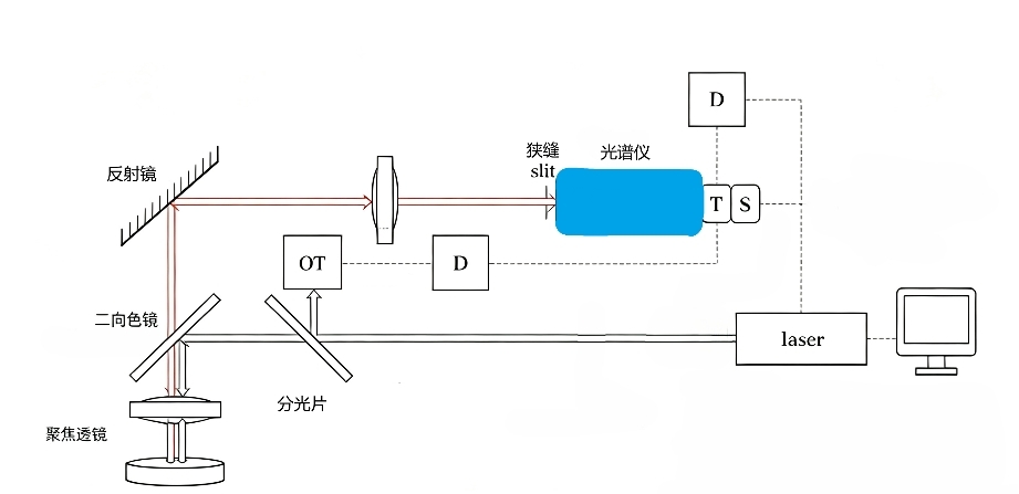 时间门控选通拉曼系统示意图